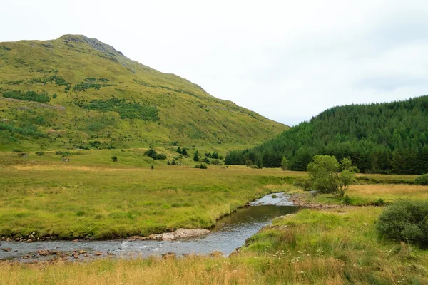 Rural scottish panorama — Stock Photo, Image