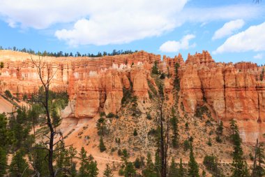 Panorama: Bryce Canyon Milli Parkı, Usa