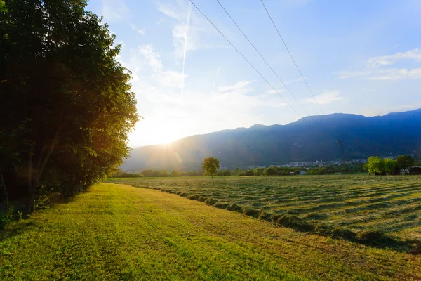 Italian countryside landscape — Stock Photo, Image