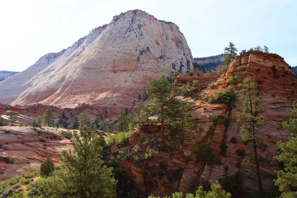 Panorama üzerinden Zion National Park — Stok fotoğraf