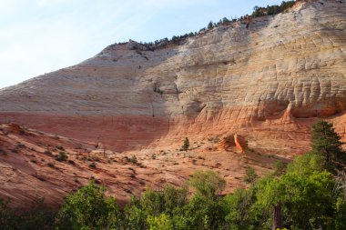 Panorama üzerinden Zion National Park