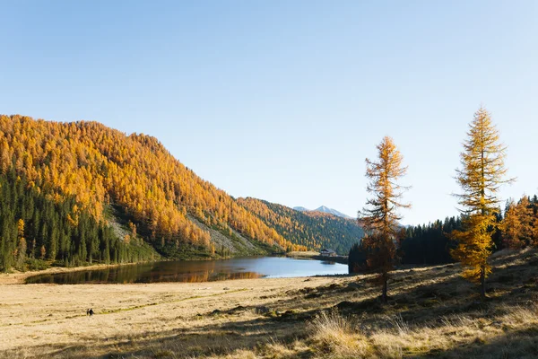 秋のパノラマ山の湖から水面の反射効果 — ストック写真