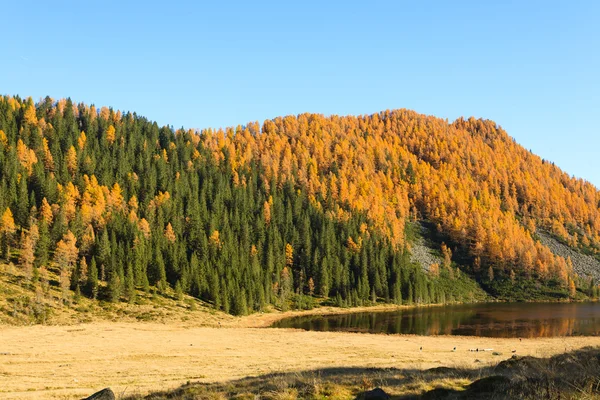 秋のパノラマ山の湖から水面の反射効果 — ストック写真