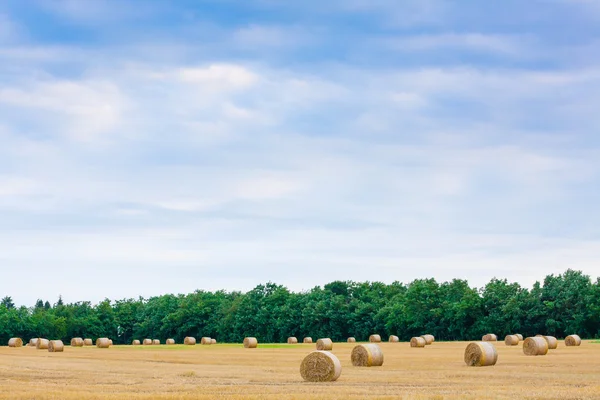 Olasz vidéki panorámával. A búzamező forduló bales — Stock Fotó