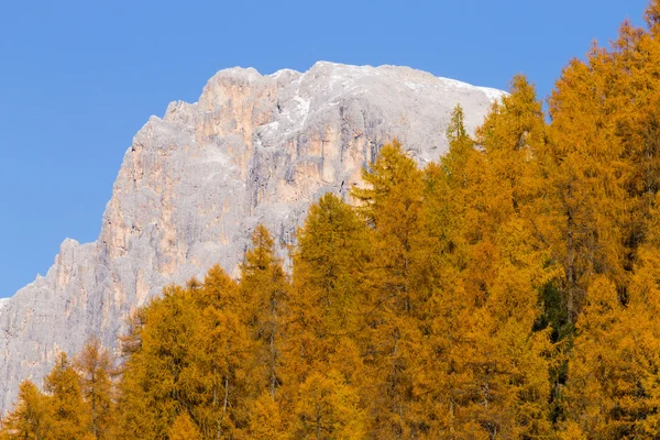 Herbstpanorama aus den italienischen Alpen — Stockfoto