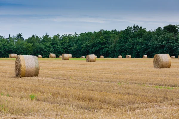 Панорама італійської сільській місцевості. Круглих тюків на пшенична сфера — стокове фото