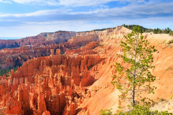 Panorama del Parque Nacional Bryce Canyon, Estados Unidos — Foto de Stock