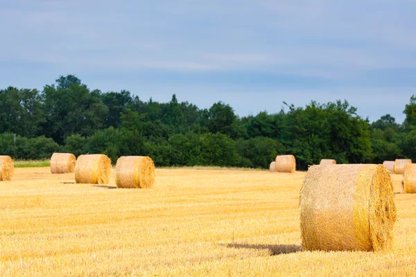 Olasz vidéki panorámával. A búzamező forduló bales — Stock Fotó