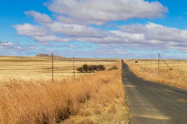 Perspective road from Orange Free State, South Africa — Stock Photo, Image