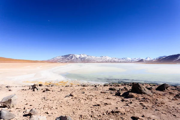 Laguna Blanca Paisaje Bolivia Hermoso Panorama Boliviano Laguna Blanca Volcán —  Fotos de Stock