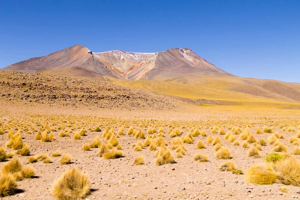 Bolivian Mountains Landscape Bolivia Andean Plateau View Volcano View — Stock Photo, Image