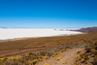 Salar de Uyuni, Bolivya. Dünyadaki en büyük tuz düzlüğü. Bolivya manzarası