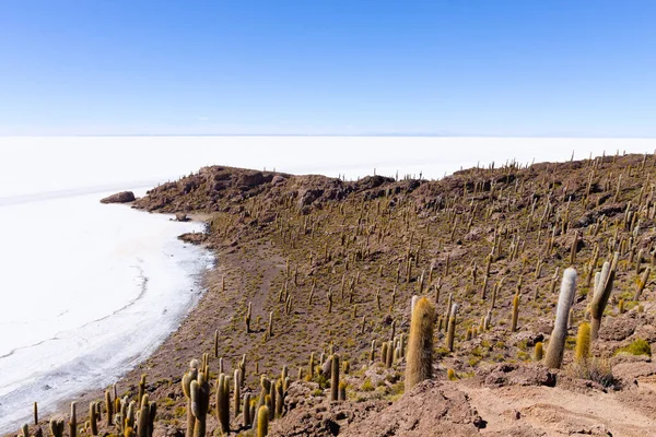 ボリビアのInchahuasi島からのSalar Uuni 世界最大の塩フラット ボリビアの風景 — ストック写真
