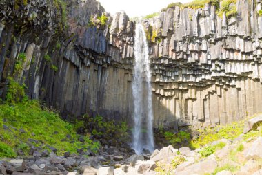 Svartifoss yaz sezonunda İzlanda 'ya düşer. İzlanda manzarası.