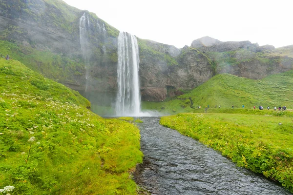 Seljalandsfoss Yaz Sezonunda Zlanda Düşer Zlanda Manzarası — Stok fotoğraf