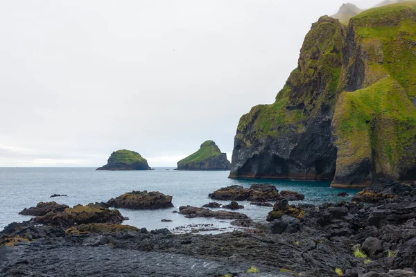 Elephant Shape Rock Vestmannaeyjar Island Beach Iceland Vestmann Islands — Stock Photo, Image