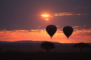 Serengeti Ulusal Parkı, Tanzanya, Afrika 'da şafak vakti. Gökyüzünde sıcak hava balonları. Afrika Panoraması