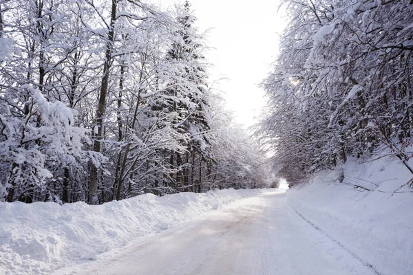 Paisagem Inverno Estrada Coberta Neve Alpes Italianos — Fotografia de Stock