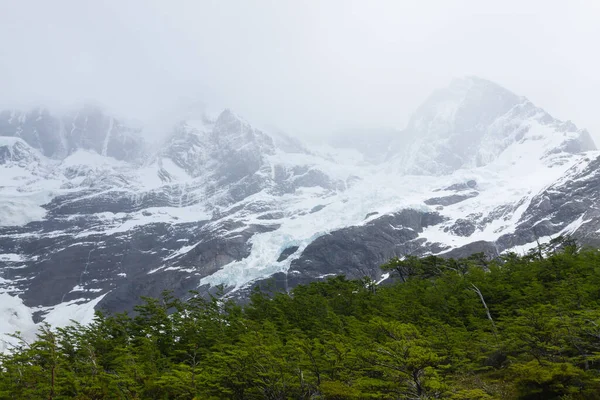 Nationaal Park Torres Del Paine Chili Franse Gletsjer Chileense Patagonië — Stockfoto