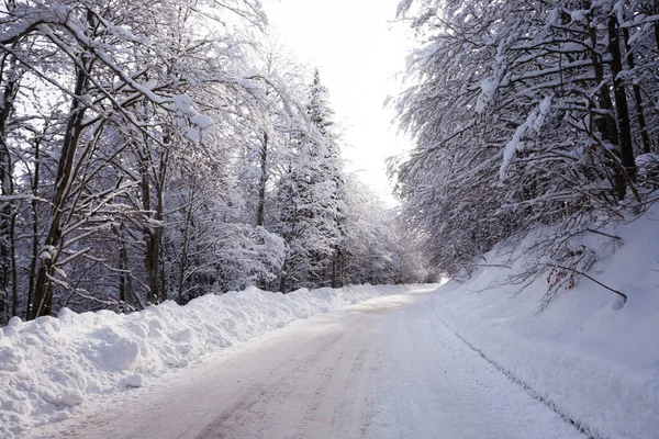 Paisagem Inverno Estrada Coberta Neve Alpes Italianos — Fotografia de Stock