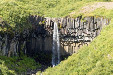 Svartifoss yaz sezonunda İzlanda 'ya düşer. İzlanda manzarası.