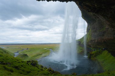 Seljalandsfoss yaz sezonunda İzlanda 'ya düşer. İzlanda manzarası.