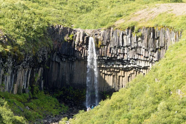 Svartifoss Fällt Der Sommersaison Ansicht Island Isländische Landschaft — Stockfoto
