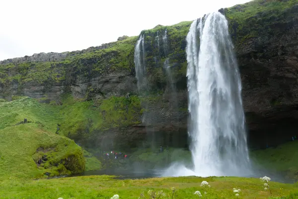 Seljalandsfossは夏のシーズンビュー アイスランドに落ちます アイスランドの風景 — ストック写真