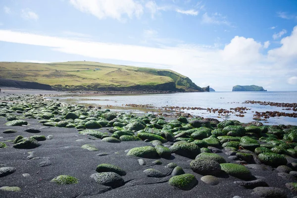 Vestmannaeyjar Adası plaj manzaralı ve arka planda Alsey Adası var. İzlanda manzarası