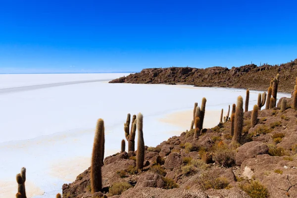 Salar Uyuni Vista Dall Isola Incahuasi Bolivia Piu Grande Piatto — Foto Stock