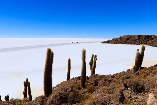 ボリビアのInchahuasi島からのSalar Uuni 世界最大の塩フラット ボリビアの風景 — ストック写真