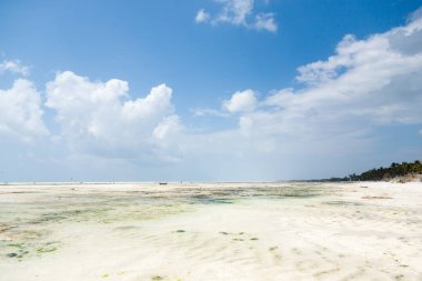Zanzibar beyaz kumsal manzarası, Tanzanya, Afrika panoraması. Hint okyanus manzarası