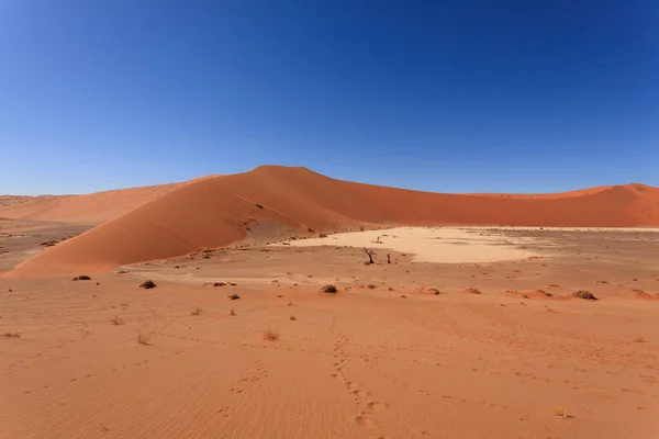 Panorama Czerwonych Wydm Ukrytych Vlei Sossusvlei Namibia — Zdjęcie stockowe