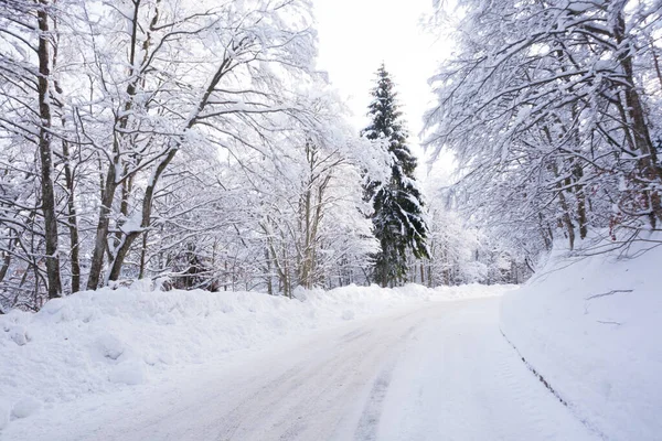 Paisagem Inverno Estrada Coberta Neve Alpes Italianos — Fotografia de Stock