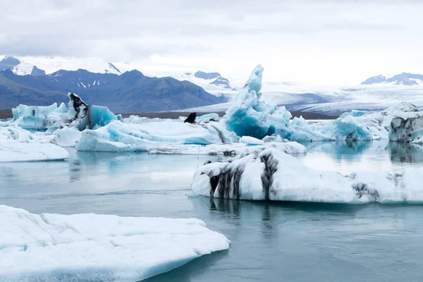 Jokulsarlon Gletsjermeer Ijsland Ijsbergen Drijven Water Landschap Ijsland — Stockfoto