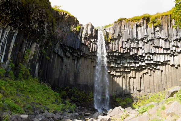 Svartifoss Πέφτει Κατά Θερινή Περίοδο Άποψη Ισλανδία Ισλανδικό Τοπίο — Φωτογραφία Αρχείου