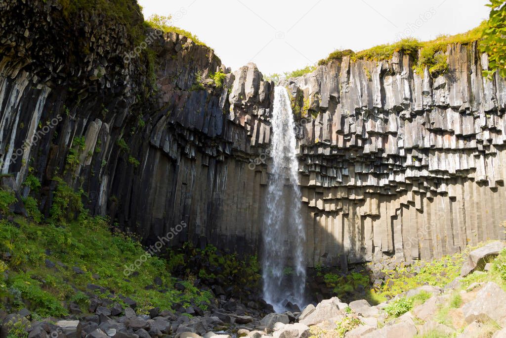 Svartifoss falls in summer season view, Iceland. Icelandic landscape.
