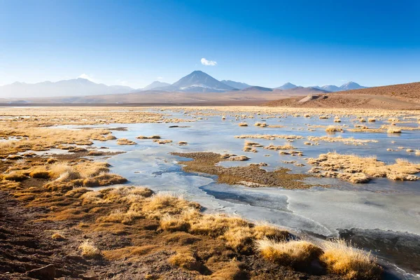 Paysage Chilien Lagune Volcan Licancabur Panorama Chili — Photo