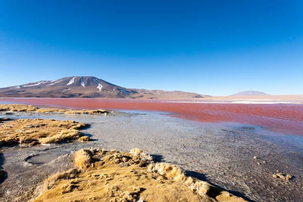 Λαγκούνα Κολοράντα Τοπίο Βολιβία Πανόραμα Της Βολιβίας Λιμνοθάλασσα Κόκκινου Νερού — Φωτογραφία Αρχείου