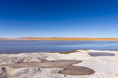 Bolivya lagün manzarası, Bolivya. Kollpa Kkota göl manzarası. Collpa Laguna