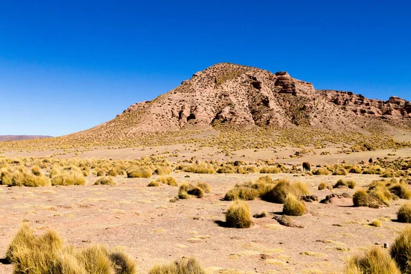 Bolivijské Hory Krajina Bolívie Andean Náhorní Plošina Pohled — Stock fotografie