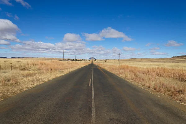 Karoo road — Stock Photo, Image