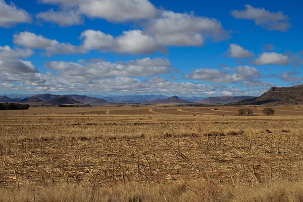 Karoo landschap — Stockfoto
