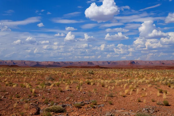 Арізона подання — стокове фото