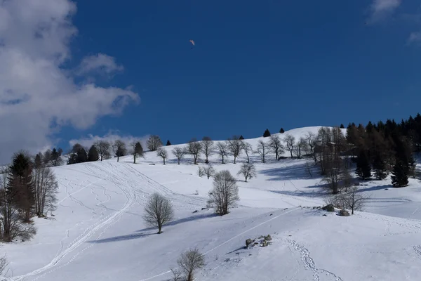 Winterlandschaft — Stockfoto