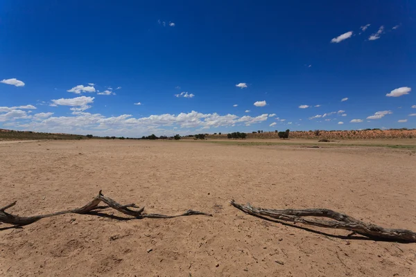 Kgalagadi — Stock Photo, Image