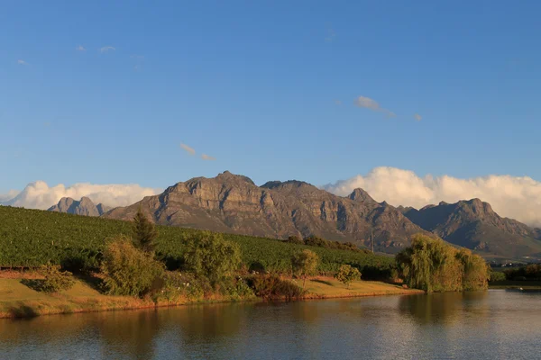 Stellenbosch — Stockfoto