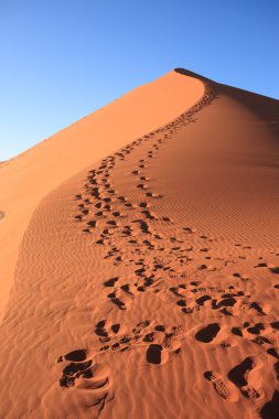 Footsteps on dune clipart