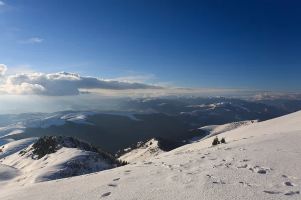 Panorama invernale — Foto Stock