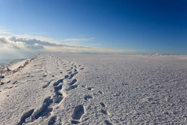 Passi umani sulla neve — Foto Stock